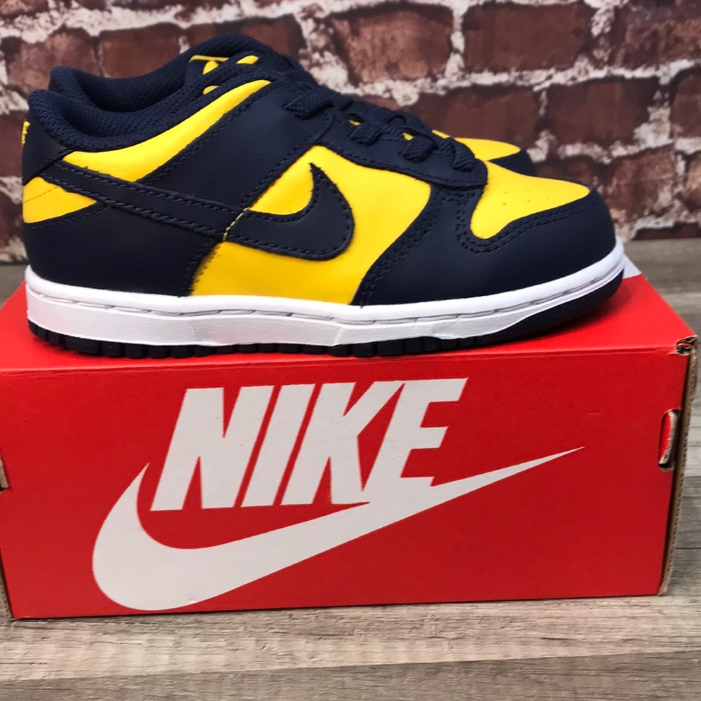 Michigan Nike Dunk Low